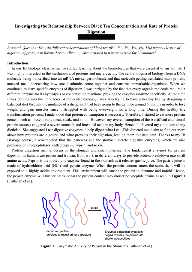How do different concentrations of black tea (0%, 1%, 2%, 3%, 4%, 5%) impact the rate of digestion of proteins in Bovine Serum Albumin, when exposed to papain enzyme for 20 minutes? - Biology IA exemplar scored 6