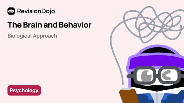 The Brain and Behaviour - Neurotransmitters video thumbnail