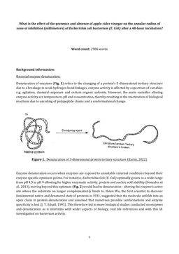 What is the effect of the presence and absence of apple cider vinegar on the annular radius of zone of inhibition (millimeters) of Escherichia coli bacterium (E. Coli) after a 48-hour incubation?