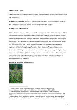 How does light intensity affect the ratio between the length of the Urtica dioica (Stinging Nettle) and the third internodal length?