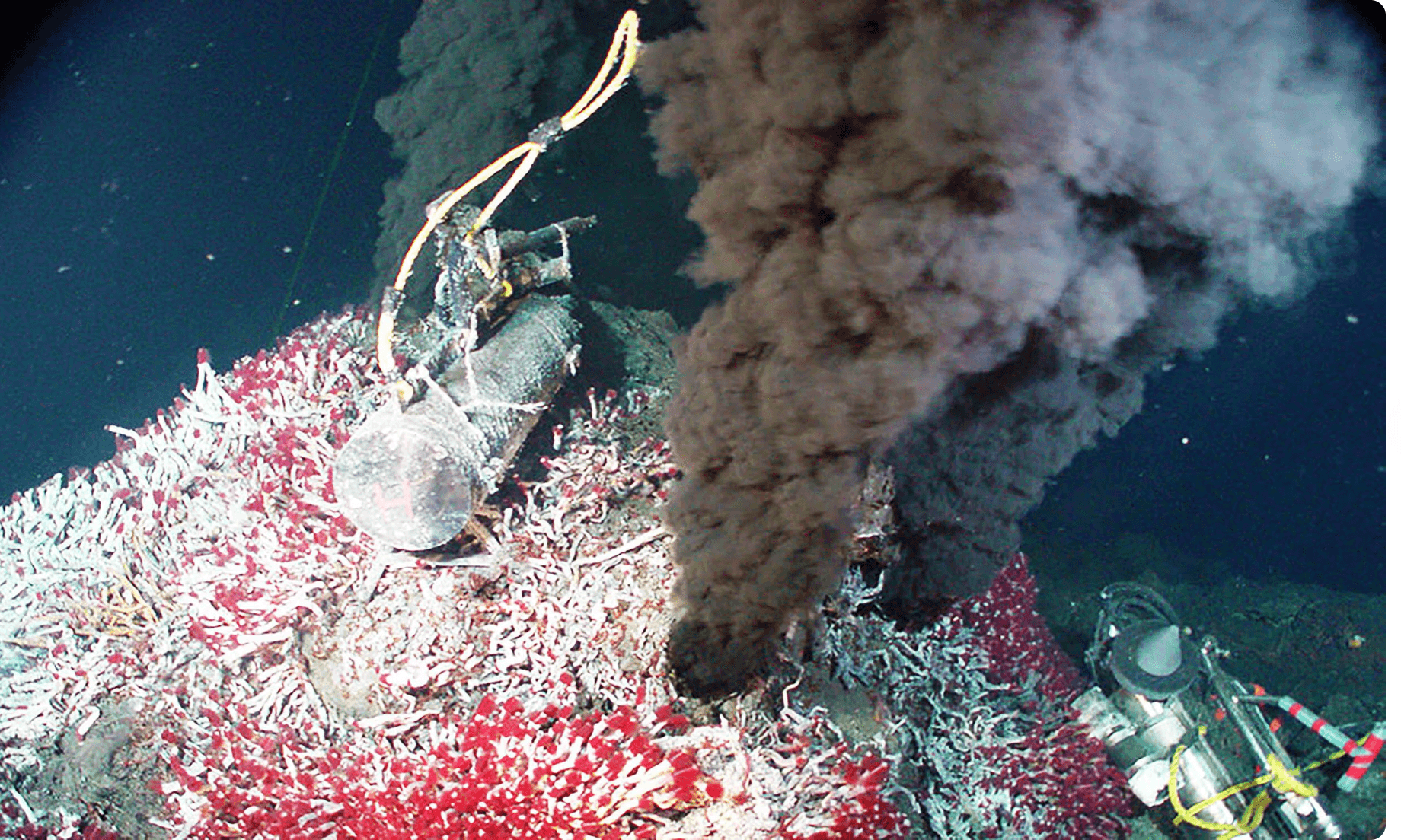 A hydrothermal vent on the deep ocean floor