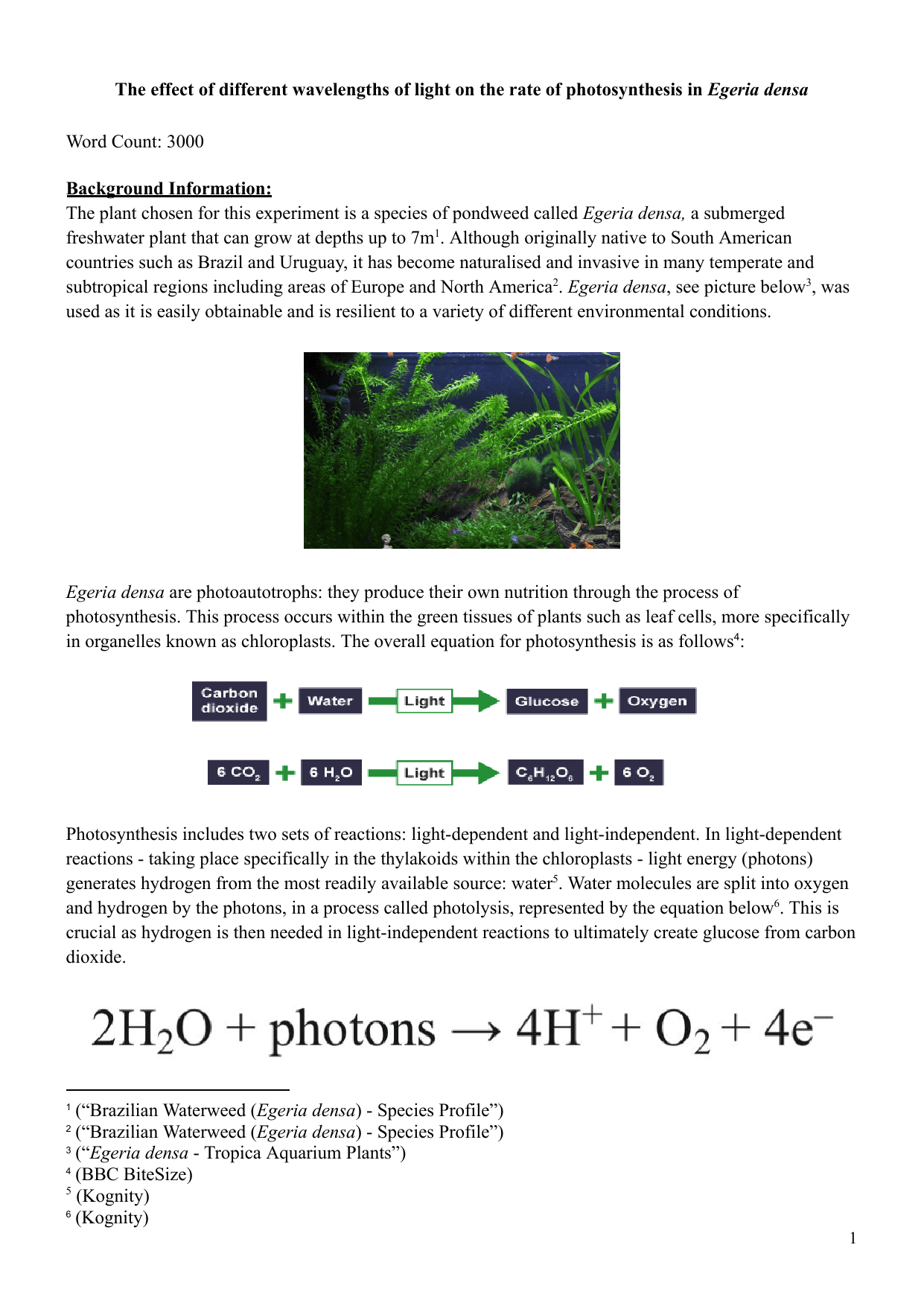 The effect of different wavelengths of light on the rate of photosynthesis in Egeria densa - Biology IA exemplar scored 5