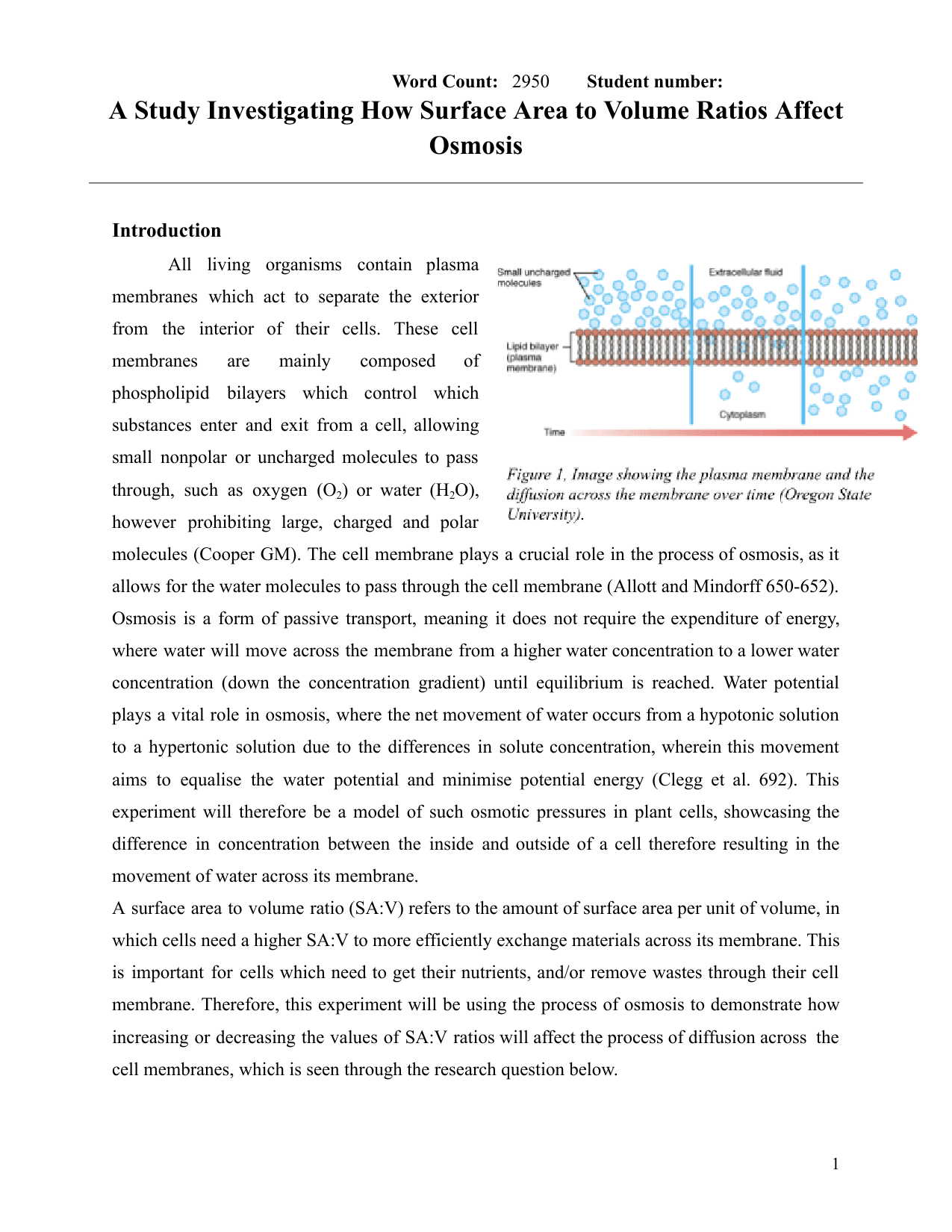 What is the effect of changing the SA:V ratios (12:2, 17:3, 10:2, 16:4, 30:9, 42:18, 54:27) of potato (Solanum tuberosum) samples on the level of osmosis, measured through the percentage mass change, when submerged in distilled water at a controlled temperature of 20oC. - Biology IA exemplar scored 6