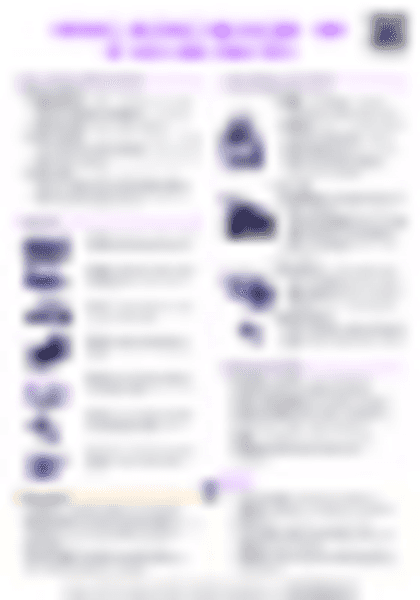 IB History: Rivalry, mistrust and accord - End of Cold War (1980-1991) - PDF cheatsheet preview