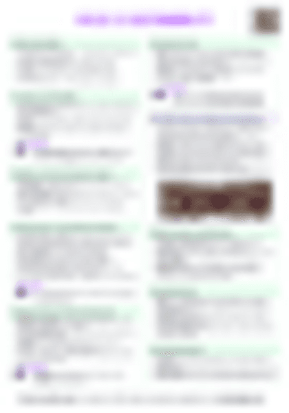 IB ESS 1.3 Sustainability Cheatsheet - PDF cheatsheet preview