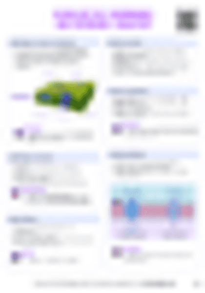 IB Bio B2.1 Membranes Cheatsheet - PDF cheatsheet preview