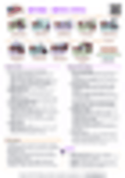 IB History: Nations - United States - PDF cheatsheet preview