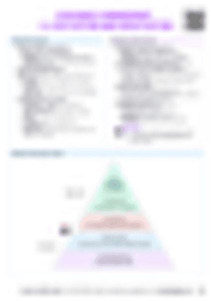 IB BM 2.4 Motivation and demotivation Cheatsheet - PDF cheatsheet preview
