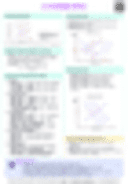 IB Econ 4.5 Exchange Rates Cheatsheet - PDF cheatsheet preview