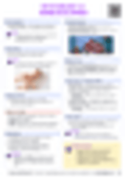 IB Psych 3.2 Human Development Cheatsheet - PDF cheatsheet preview