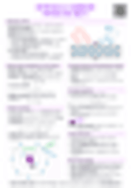 IB Physics E.2 Quantum physics (HL only) - PDF cheatsheet preview