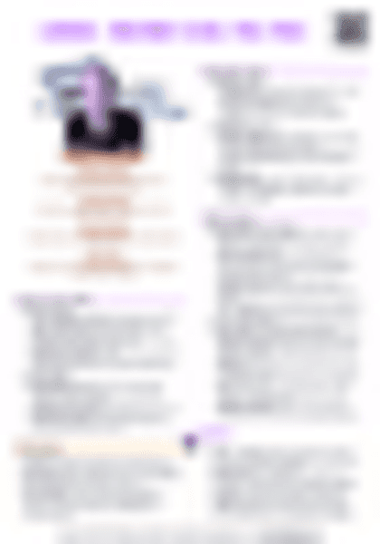 IB History: Leaders - Brezhnev (USSR, 1964-1982) - PDF cheatsheet preview