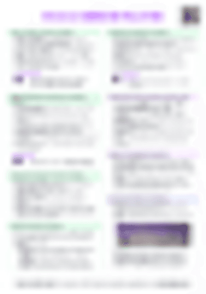 IB ESS 8.3 Urban air pollution Cheatsheet - PDF cheatsheet preview