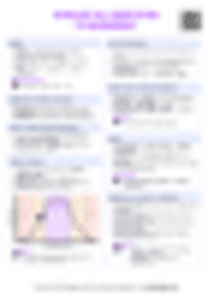 IB Bio B4.1 Adaptation to environment Cheatsheet - PDF cheatsheet preview