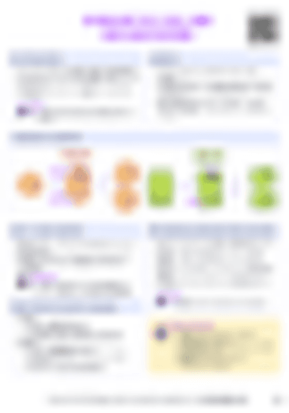 IB Bio D2.1 Cell and nuclear division Cheatsheet - PDF cheatsheet preview