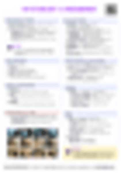 IB Psych 1.4 Measurement Cheatsheet - PDF cheatsheet preview