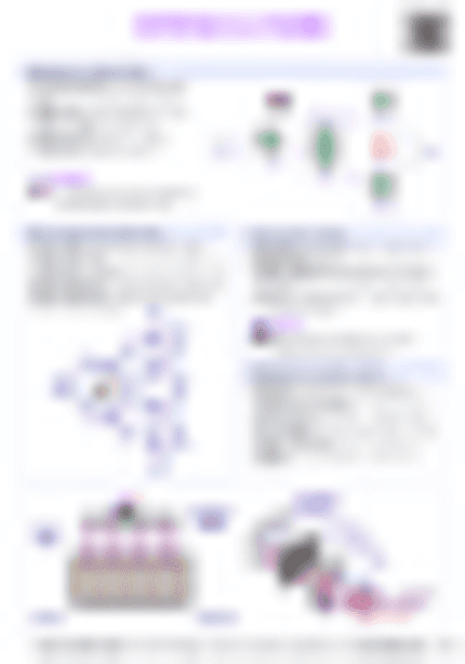 IB Physics E.4 Fission - PDF cheatsheet preview