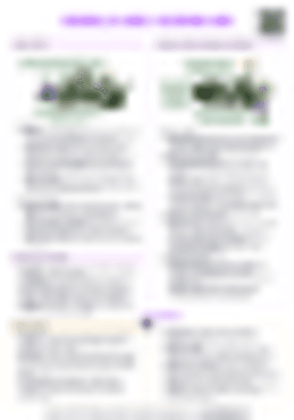 IB History: Guerrilla Wars - Algerian War - PDF cheatsheet preview