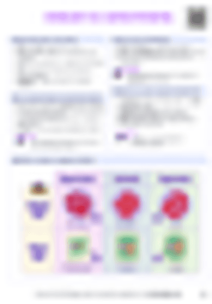 IB Bio D2.3 Water potential Cheatsheet - PDF cheatsheet preview