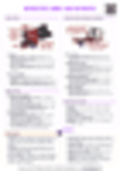 IB History: Interstate Wars - WW2 in Pacific - PDF cheatsheet preview