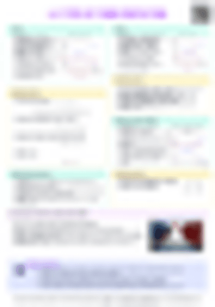 IB Econ 4.2 Types of Trade Protection Cheatsheet - PDF cheatsheet preview