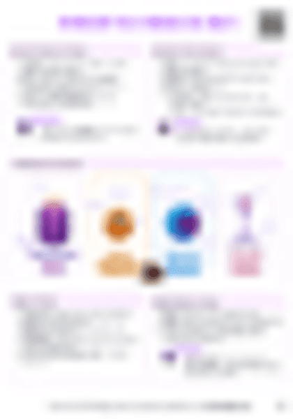 IB Bio A2.3 Viruses Cheatsheet (HL) - PDF cheatsheet preview