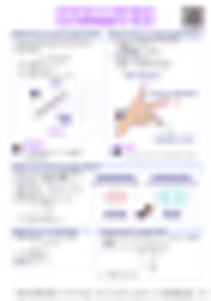 IB Physics D.3 Motion in electromagnetic fields - PDF cheatsheet preview