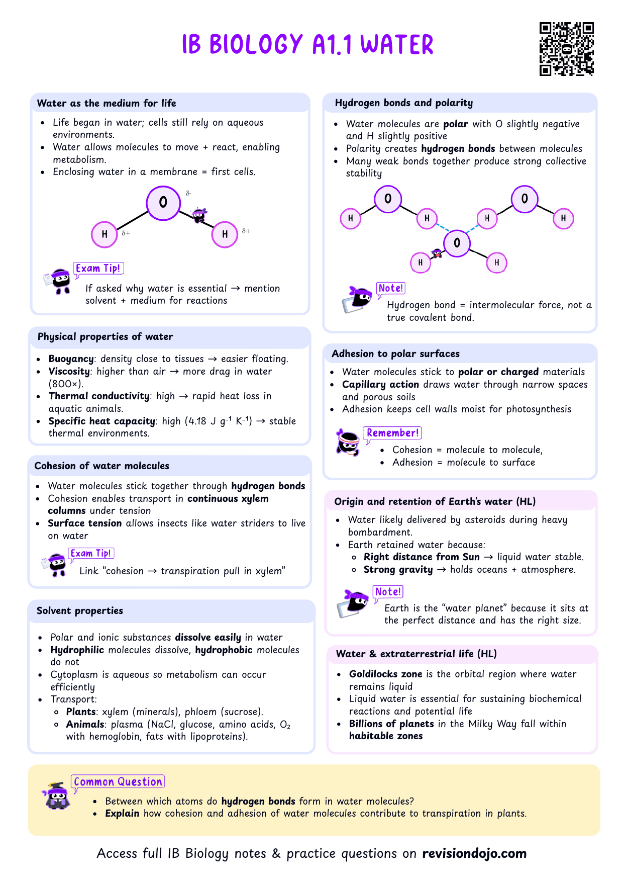IB Bio A1.1 Water Cheatsheet - PDF cheatsheet preview