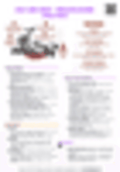 IB History: Cold War Crises - Berlin Blockade (1948-1949) - PDF cheatsheet preview