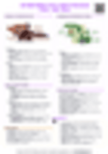 IB History Authoritarian States: Benito Mussolini (Italy, 1922–1943) - PDF cheatsheet preview