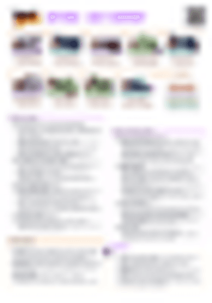 IB History: Nations - West Germany - PDF cheatsheet preview