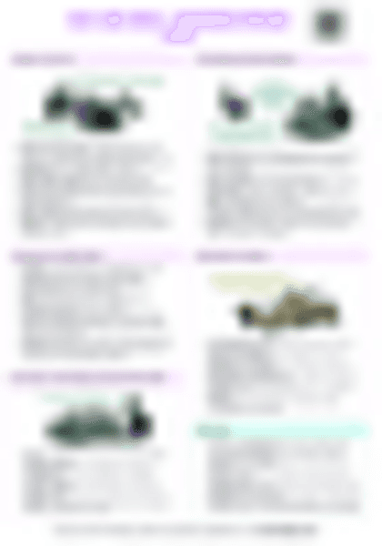 IB History: Cold War Crises - Hungarian Uprising (1956) - PDF cheatsheet preview