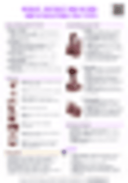 IB History: Rivalry, mistrust and accord - Sino-US relations (1947-1979) - PDF cheatsheet preview