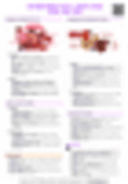 IB History Authoritarian States: Joseph Stalin (USSR, 1928–1953) - PDF cheatsheet preview