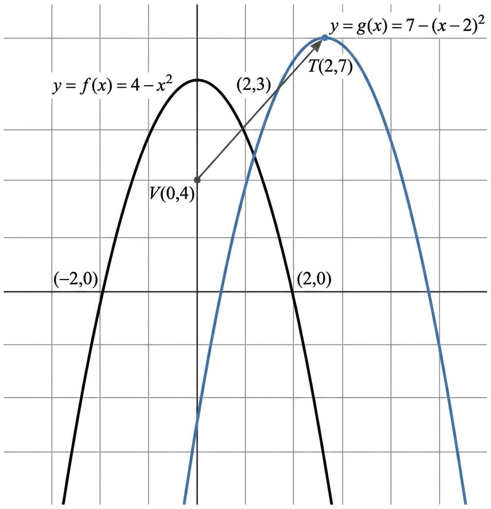 graph of f(x) and its translated image g(x)