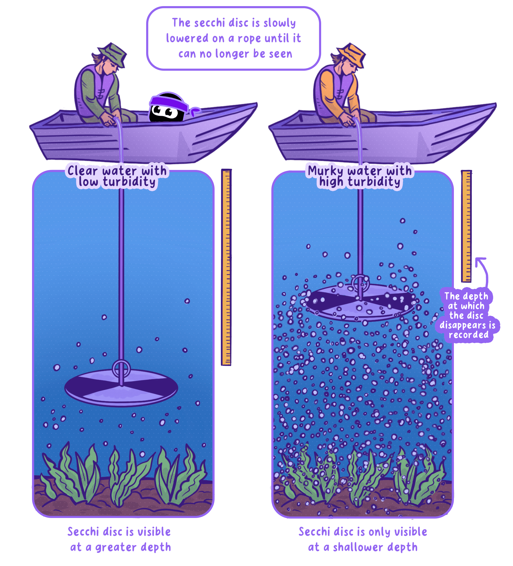Decomposition System.drawing IB Environmental systems and societies Topic 4.4B… | RevisionDojo