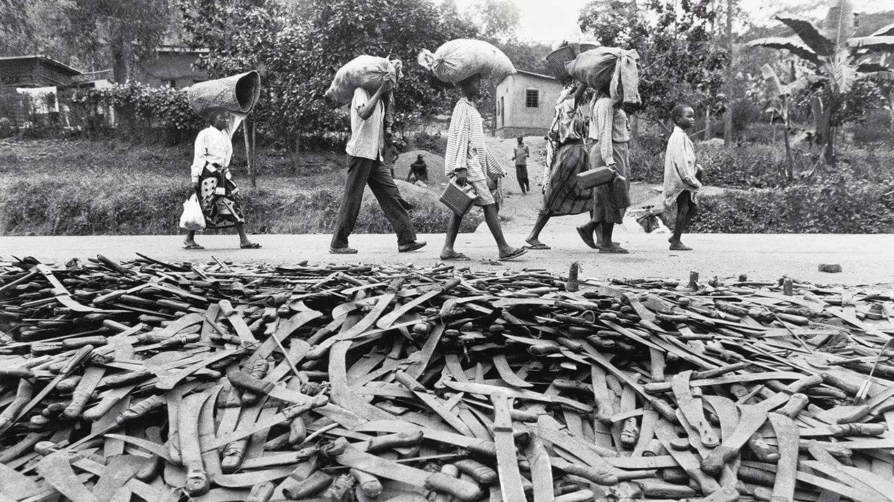 Rebuilding Rwanda IB History Topic Social Impact Revision Notes (SL/HL) | RevisionDojo