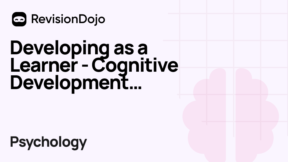 Developing as a Learner - Cognitive Development - Piaget video thumbnail