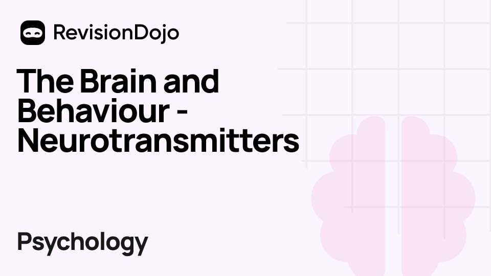 The Brain and Behaviour - Neurotransmitters video thumbnail